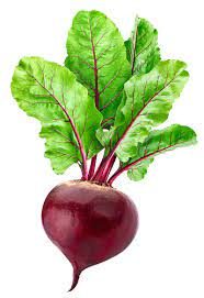 cropped-BEETROOT.jpg